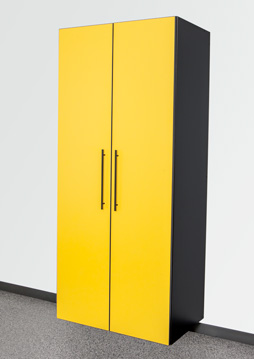 Yellow / Black Cabinet Option Yellow / Black Cabinet Option